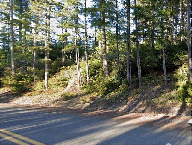 0 NE Tahuya Blacksmith Rd, Belfair, WA 98528 - photo 3