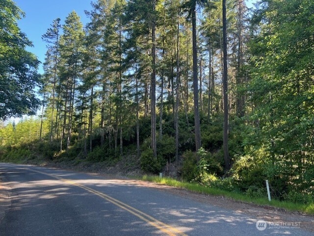 0 NE Tahuya Blacksmith Rd, Belfair, WA 98528 - photo 1