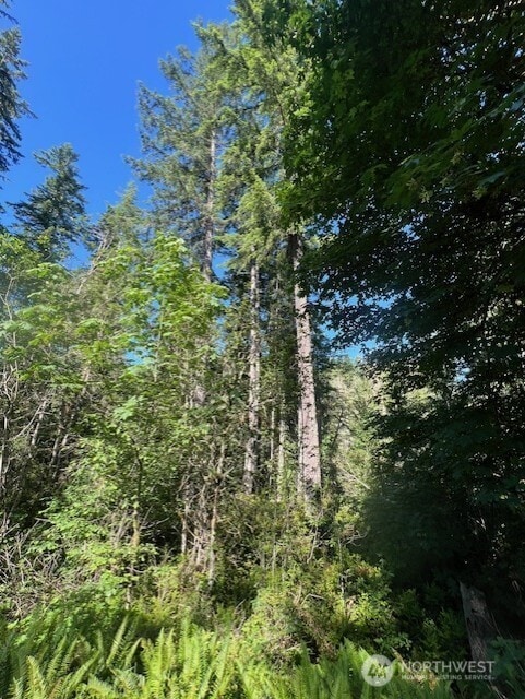0 NE Tahuya Blacksmith Rd, Belfair, WA 98528 - photo 5