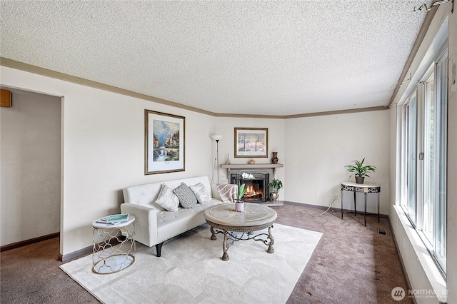 12244 NE 136th Pl, Kirkland, WA 98034 - living area featuring carpet, a textured ceiling, healthy amount of natural light, a lit fireplace, and crown molding