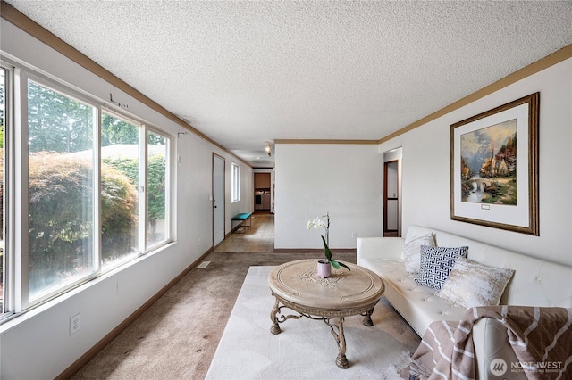 12244 NE 136th Pl, Kirkland, WA 98034 - view of sunroom