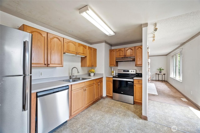 12244 NE 136th Pl, Kirkland, WA 98034 - kitchen featuring appliances with stainless steel finishes, under cabinet range hood, and light countertops