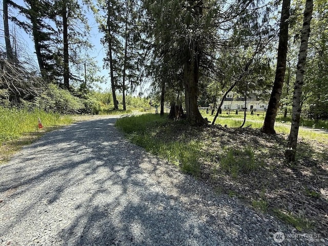22110 70th Ave E, Spanaway, WA 98387 - photo 2