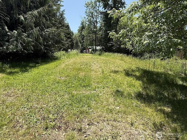 22110 70th Ave E, Spanaway, WA 98387 - photo 5