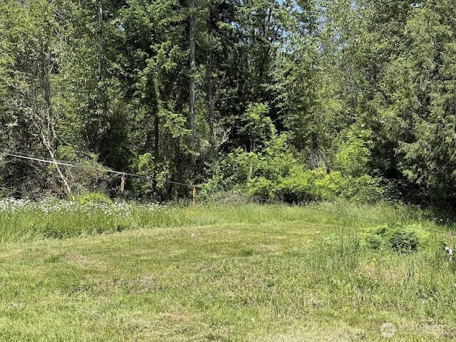 22110 70th Ave E, Spanaway, WA 98387 - photo 7