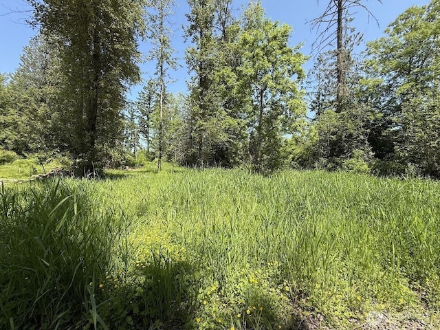 22110 70th Ave E, Spanaway, WA 98387 - photo 13