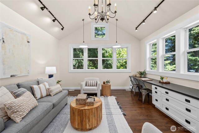 2575 Bretland Rd, Camano Island, WA 98282 - living room featuring rail lighting, baseboards, a chandelier, dark wood-type flooring, and high vaulted ceiling