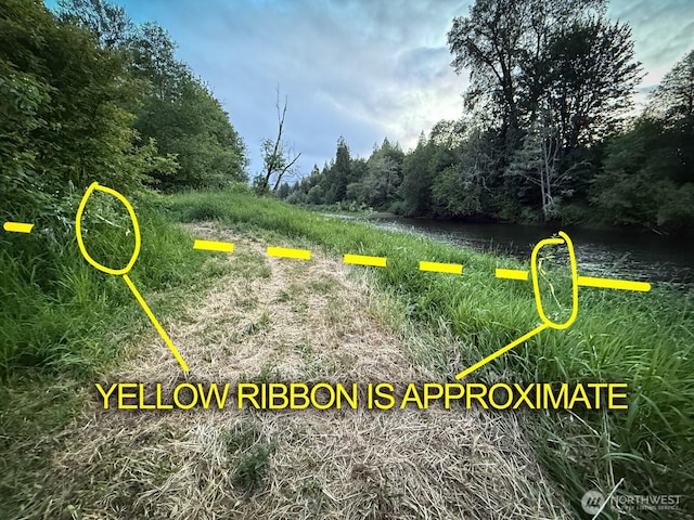 481 River Rd, Chehalis, WA 98532 - exterior view of a heavily wooded area