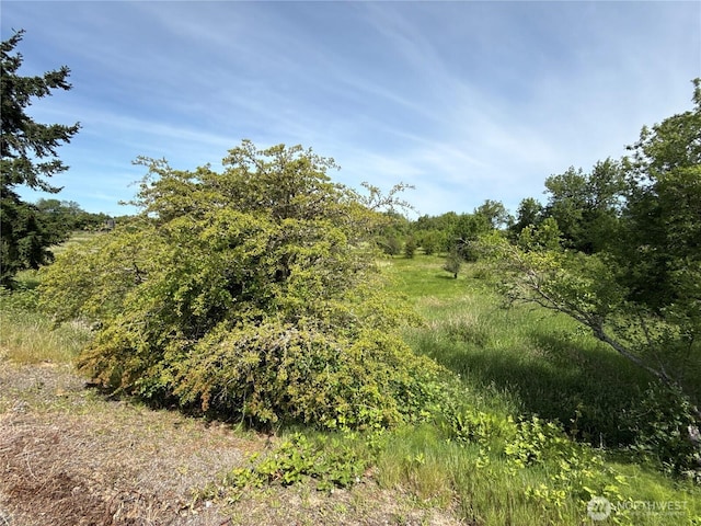 2520 NE Kresky Ave, Chehalis, WA 98532