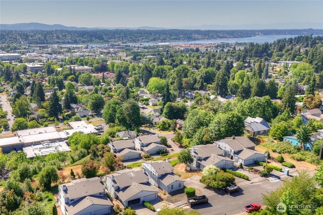 813 Mccormick St SE, Olympia, WA 98501 - photo 6