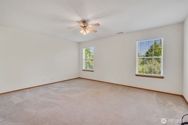 11315 212th St E, Graham, WA 98338 - photo 26