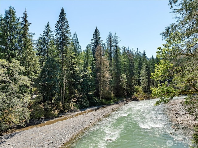 10500 Mt Baker Hwy Unit 905, Deming, WA 98244 - water view with a forest