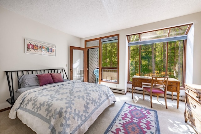 10500 Mt Baker Hwy Unit 905, Deming, WA 98244 - bedroom with light carpet, a textured ceiling, and a baseboard heating unit