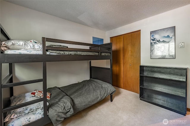 10500 Mt Baker Hwy Unit 905, Deming, WA 98244 - carpeted bedroom featuring a textured ceiling