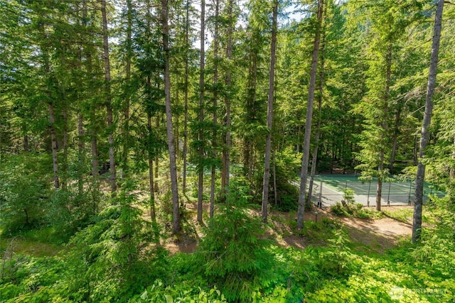 10500 Mt Baker Hwy Unit 905, Deming, WA 98244 - view of tree filled area