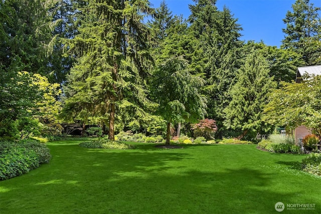 9000 NE Hidden Cove Rd, Bainbridge Island, WA 98110 - view of green lawn