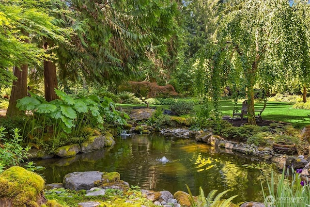 9000 NE Hidden Cove Rd, Bainbridge Island, WA 98110 - view of home's community