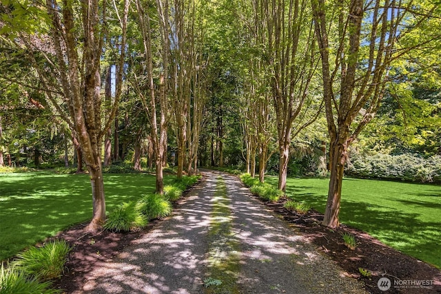 9000 NE Hidden Cove Rd, Bainbridge Island, WA 98110 - surrounding community featuring a yard
