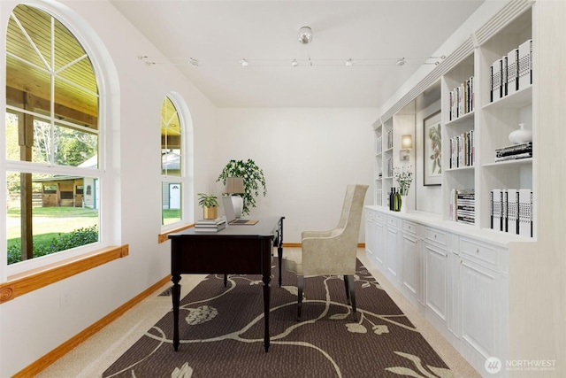 14502 45th St SW, Lakebay, WA 98349 - office featuring light carpet, baseboards, and track lighting