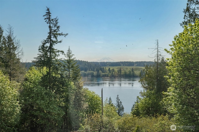 14502 45th St SW, Lakebay, WA 98349 - water view featuring a forest