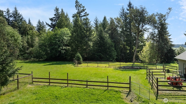14502 45th St SW, Lakebay, WA 98349 - view of green lawn with a rural view