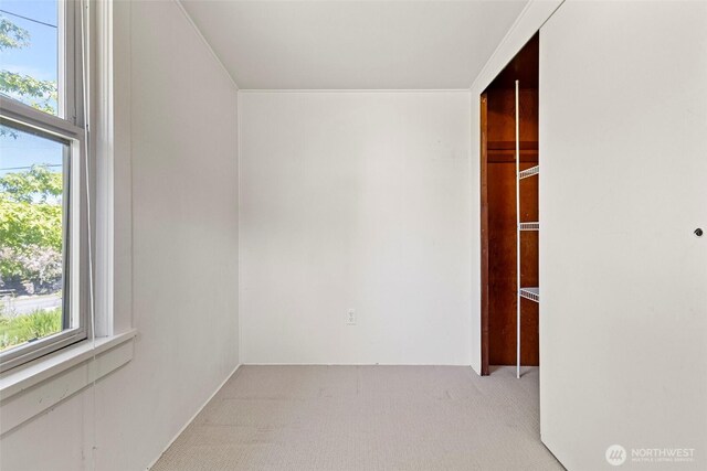 967 High Rd, Camano Island, WA 98282 - walk in closet featuring light colored carpet
