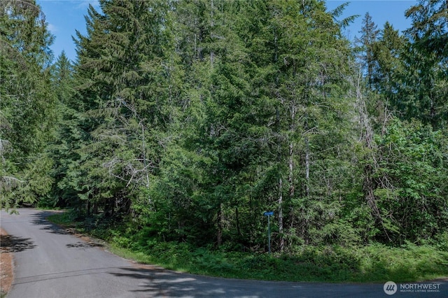 21 N Wigeon Pl S, Hoodsport, WA 98548 - photo 2