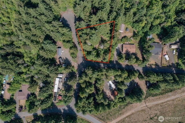 21 N Wigeon Pl S, Hoodsport, WA 98548 - photo 3
