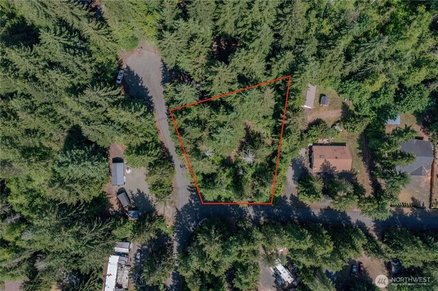 21 N Wigeon Pl S, Hoodsport, WA 98548 - photo 4