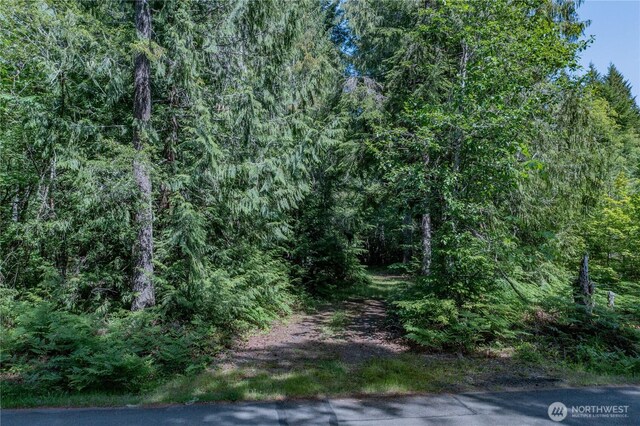 21 N Wigeon Pl S, Hoodsport, WA 98548 - photo 7
