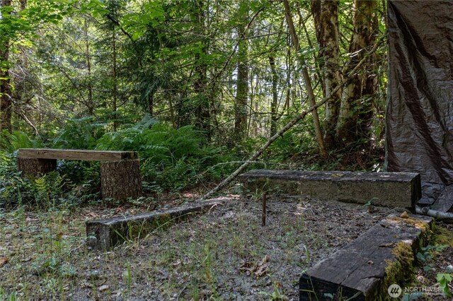 21 N Wigeon Pl S, Hoodsport, WA 98548 - photo 14