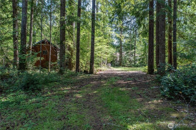 21 N Wigeon Pl S, Hoodsport, WA 98548 - photo 18