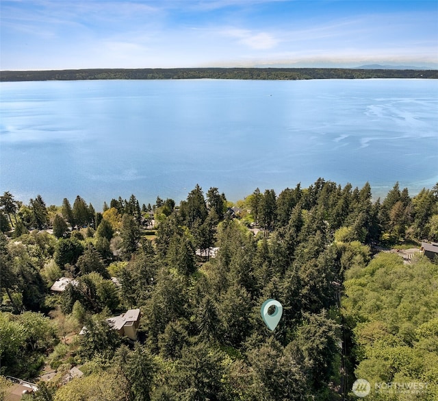 15602 26th Ave SW, Burien, WA 98166 - drone / aerial view of a nearby body of water