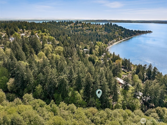 15602 26th Ave SW, Burien, WA 98166 - bird's eye view of a heavily wooded area and a nearby body of water
