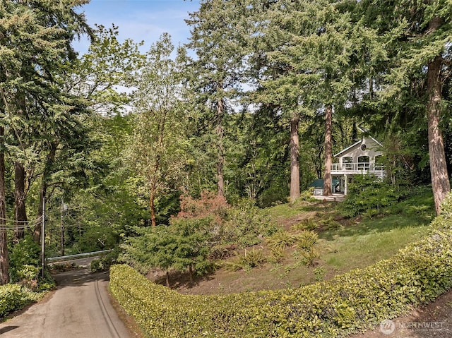 15602 26th Ave SW, Burien, WA 98166 - view of yard with a forest view