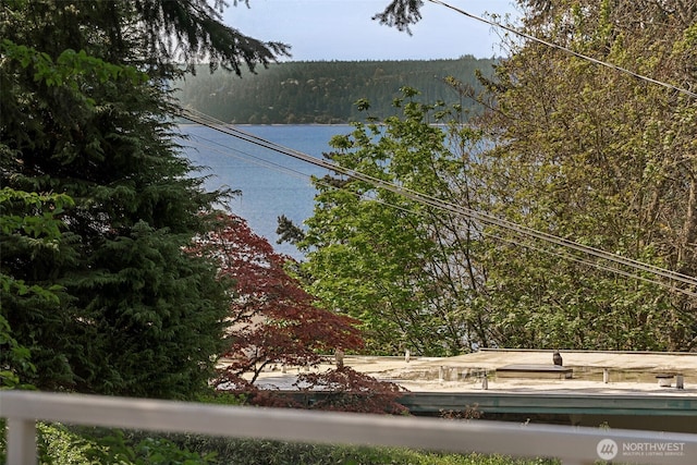 15602 26th Ave SW, Burien, WA 98166 - water view featuring a forest