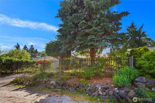 12421 2nd Ave S, Seattle, WA 98168 - view of yard