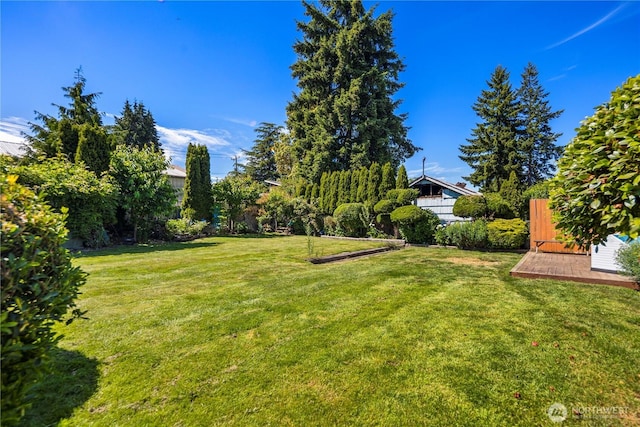 12421 2nd Ave S, Seattle, WA 98168 - view of green lawn
