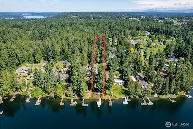 21905 SE 20th St, Sammamish, WA 98075 - photo 2