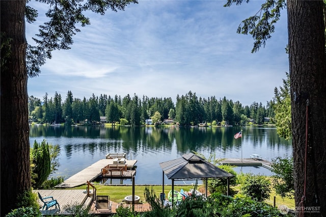 21905 SE 20th St, Sammamish, WA 98075 - photo 1