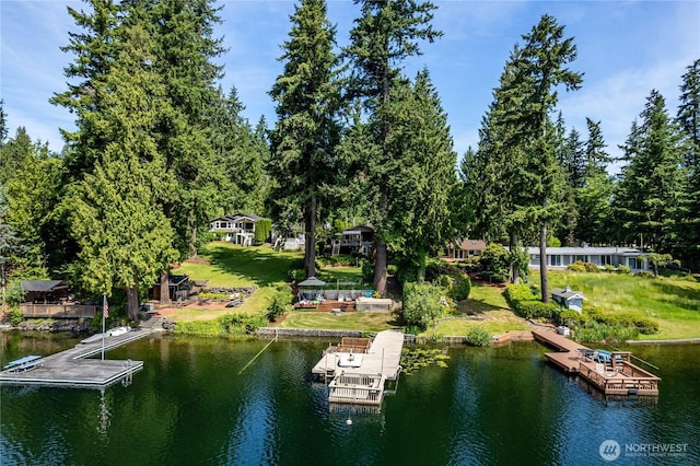 21905 SE 20th St, Sammamish, WA 98075 - photo 3