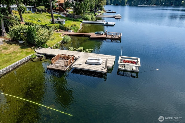 21905 SE 20th St, Sammamish, WA 98075 - photo 9