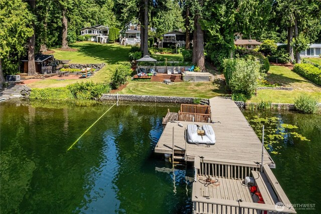 21905 SE 20th St, Sammamish, WA 98075 - photo 10