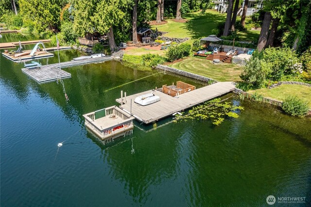 21905 SE 20th St, Sammamish, WA 98075 - photo 11