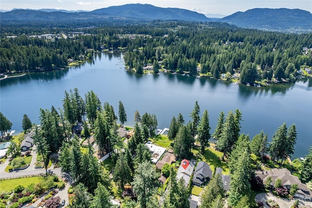 21905 SE 20th St, Sammamish, WA 98075 - photo 39