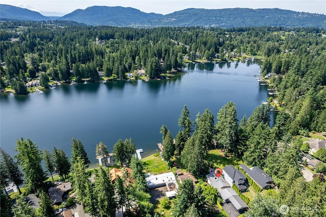 21905 SE 20th St, Sammamish, WA 98075 - photo 40