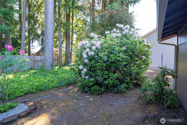 2623 25th Ct SW, Olympia, WA 98512 - view of yard