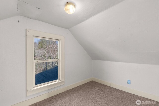 325 E State Route 4, Cathlamet, WA 98612 - bonus room with vaulted ceiling, carpet, and baseboards