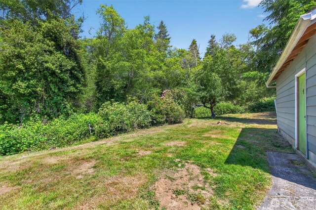 325 E State Route 4, Cathlamet, WA 98612 - view of green lawn