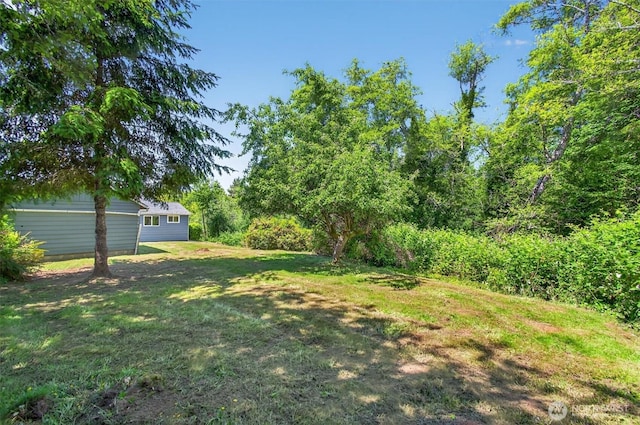 325 E State Route 4, Cathlamet, WA 98612 - view of grassy yard